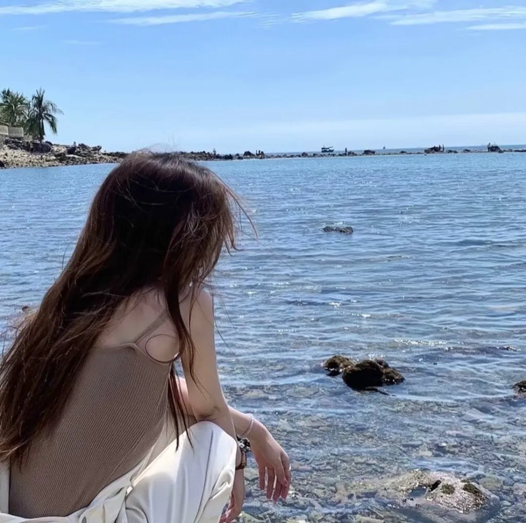 成凰录 海报