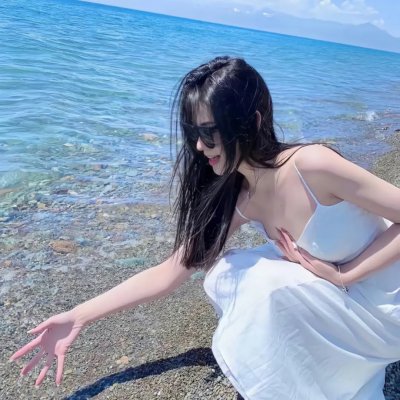 完美的独裁国家 海报